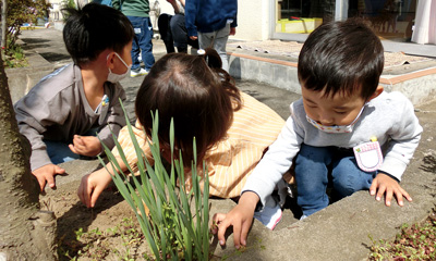 【写真】園庭で虫たちと触れ合っている様子