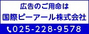国際ピーアール株式会社の広告