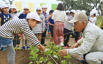 女池小学校