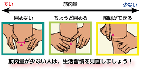 筋肉量が少ない人は、生活習慣を見直しましょう!