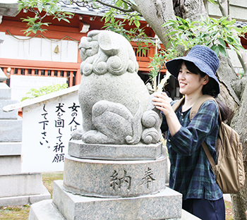 願懸け高麗犬