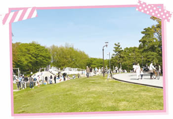 鳥屋野潟公園の風景