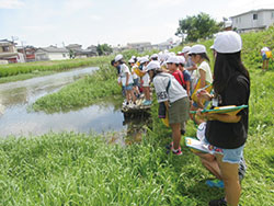 通船川プロジェクト（東山の下小学校）