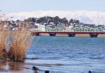 阿賀野川左岸