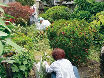 地域活動