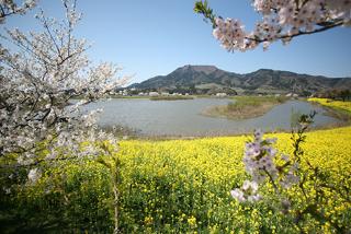 上堰潟公園画像