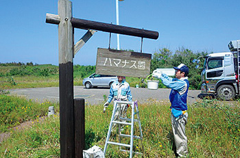 海辺の森での看板修理