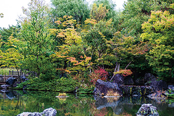 入賞「彩の秋　濁川公園」