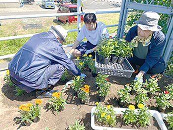 新崎駅前花植え活動