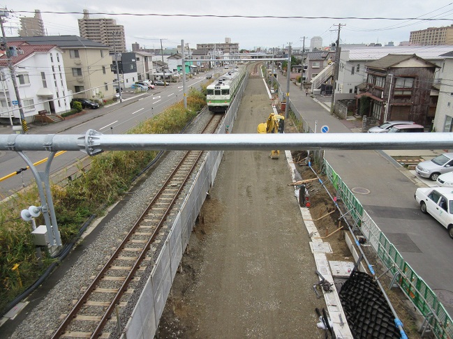 撮影日2015年11月