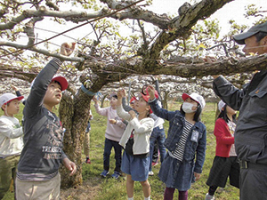 新飯田小学校の活動の様子の写真