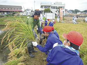 根岸小学校の活動の様子の写真