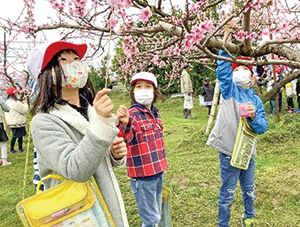 根岸小学校の活動の様子の写真