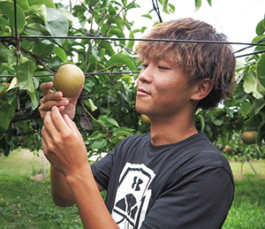 梨農家　大野明日真さん（大郷）