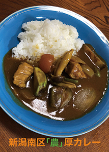 大きな具材が入ったカレーライスの写真