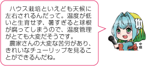 凧っこ13人衆の中蝶が「ハウス栽培といえども天候に左右されるんだって。温度が低いと生育せず、暑すぎると球根が腐ってしまうので温度管理も大変だそうです。農家さんの大変な苦労があり、きれいなチューリップを見ることができるんだね。」と言っているイラスト