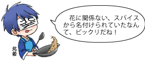 凧っこ13人衆の北若が「花に関係ない、スパイスから名付けれていたなんて、ビックリだね！」と言っているイラスト