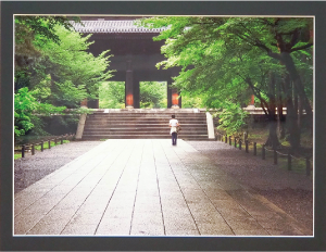 写真部門最優秀賞「初夏の朝」の写真