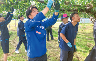 アルビの選手と白根高校の生徒が摘果作業をする写真