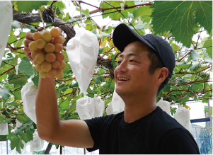 ブドウを見る富山さんの写真