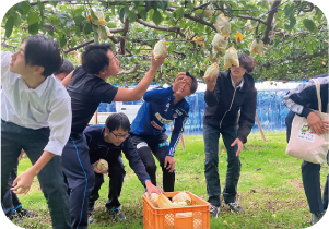 アルビレックス新潟の選手と白根高校の生徒がル レクチエを収穫する写真