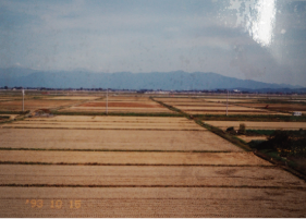 平成5年に撮影した風景の写真