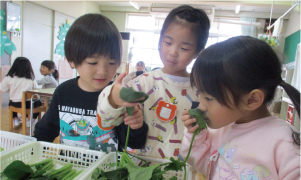 園児が野菜を触ったり匂いを嗅いだりしている写真