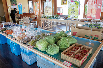 なぎさふれあいセンターで陳列されている野菜