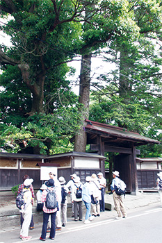 赤塚まち歩き　中原邸