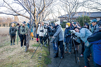 佐潟市民探鳥会写真