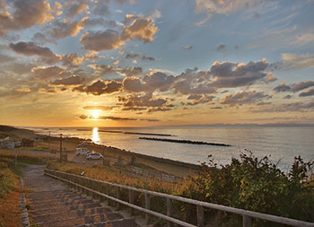 青山海浜公園