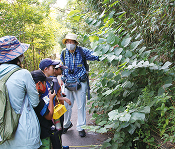 夏休み佐潟昆虫観察会