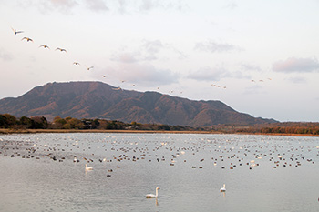 西区八景