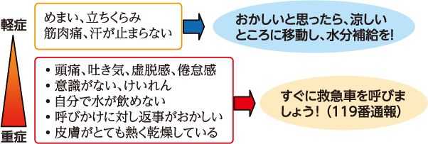 熱中症の症状に関する説明図