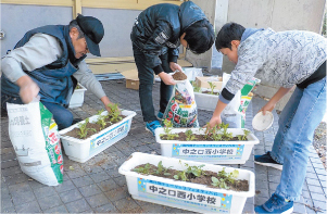 パートナーシップ事業写真　中之口西小学校