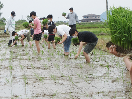 巻北小学校