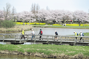 上堰潟公園