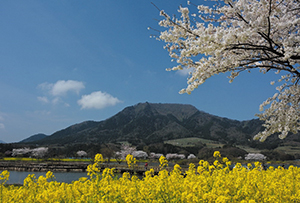 上堰潟公園の写真