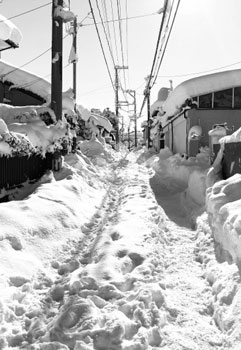 写真　近年まれにみる大雪となった1月（西区）