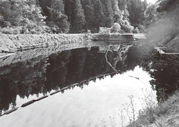 写真　原油が湧出する秋葉区朝日地区