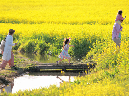 写真　北区の福島潟は、「潟」と名の付く湖の中では県内で最大の湖沼です。