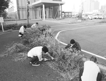 写真　道路アダプトプログラム参加団体の活動の様子