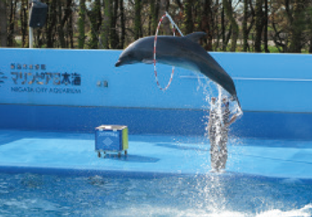 マリンピア日本海