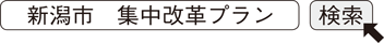 新潟市　集中改革プラン　検索