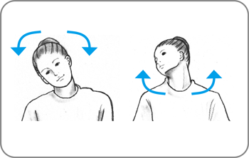 首の運動