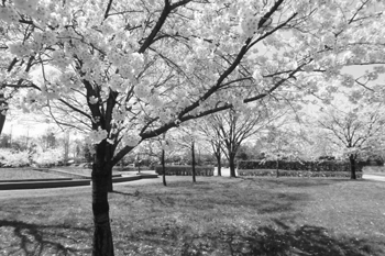 濁川公園