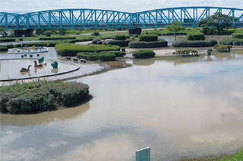 平成23年7月31日　東区阿賀野川河川敷公園