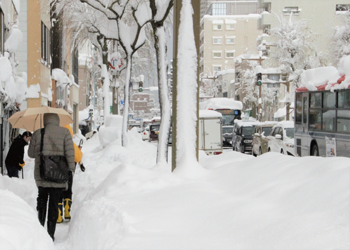 大雪の道路