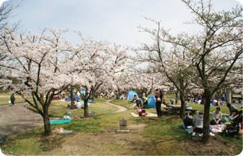 亀田公園