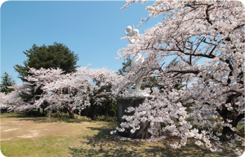 秋葉公園